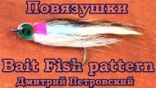 . Bait Fish pattern