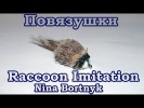 .Raccoon Imitation