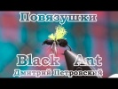 . Black Ant