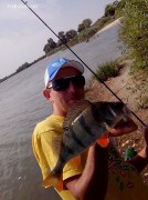 ������ ����� ����� Keitech Swing Impact