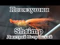 . Shrimp