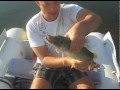     SV Fishing