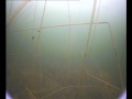 Подводные съёмки ловли щуки на жерлицу