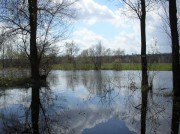 Весенний разлив воды на водоёме конного завода в селе Патриотовка