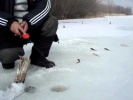 Весенняя ловля окуня со льда на мормышку