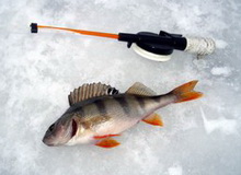 Зимний месяц февраль в календаре рыболова