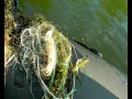 Уничтожение браконьерской сети на Голубых озёрах