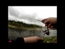 Видеоотчет: ловля окуня и щуки микроджигом на реке