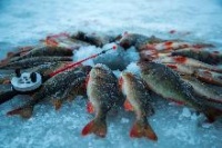 СТС: боятся или нет сумские рыболовы выходить на лёд