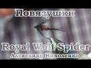 . Royal Wolf Spider