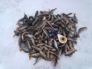 Рыбка поймана на мормышку для безмотыльной ловли от Славика (заводськой став смт.Жовтневе)