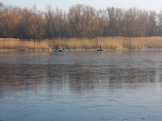 Рыбалка со спиннингом на Днепре возле Ольговки