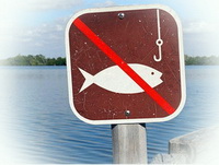 Весенний нерестовый запрет 2015 года на лов рыбы в Сумской области