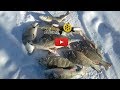 Ловля плотвы и окуня на мормышку на Байкале. Зимняя рыбалка 2018