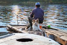 Домашние животные в жизни рыболова