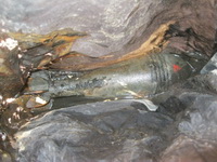 В Шостке рыбак поймал на спиннинг миномётную мину