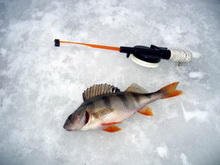 Как правильно подготовиться к зимней рыбалке?