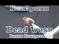 . Dead Wasp
