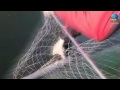 Видео V Чемпинат мира по спиннингу с лодки 2012