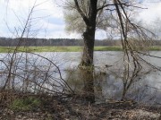 Весенний разлив воды на водоёме конного завода в селе Патриотовка