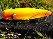 Крючки и окраска брюшка воблера FISHYCAT DEEPCAT 73F-SDR цвет R17