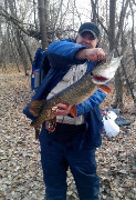Щука весом 3,6 кг поймана спиннингом на реке Сейм на приманку Profi-Blinker
