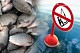30 июня закончится запрет на лов водных биоресурсов в Сумской области!
